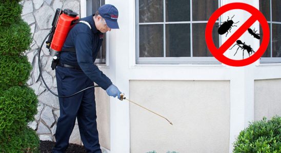 Yeşilli Bit İlaçlama böcek ilaçlama ve haşere kontrolü — ilaclama-tr.com